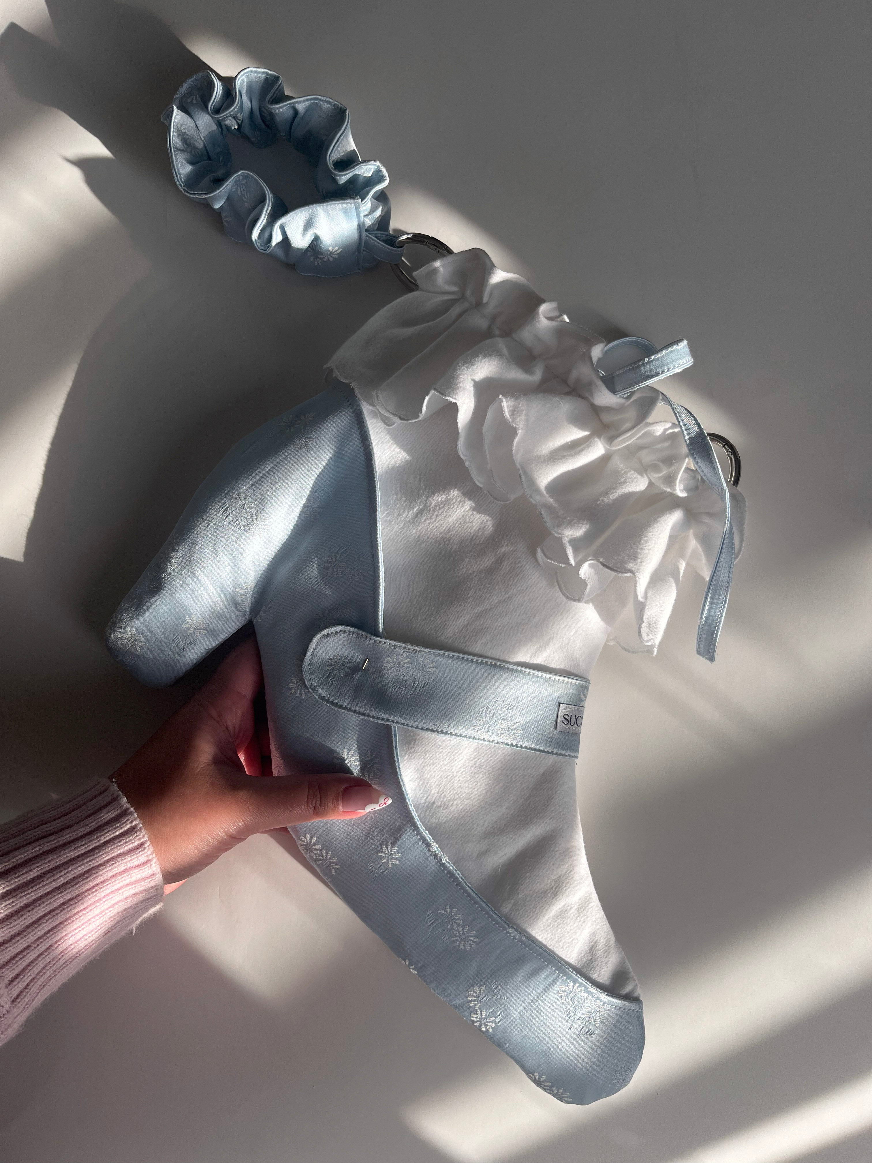 The Regency Shoe Bag